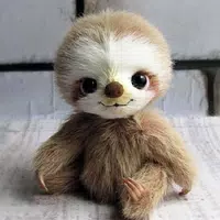 Sloth Wallpapers APK