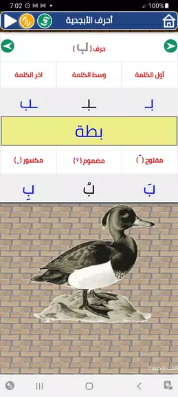 Arabic letters and numbers Screenshot1