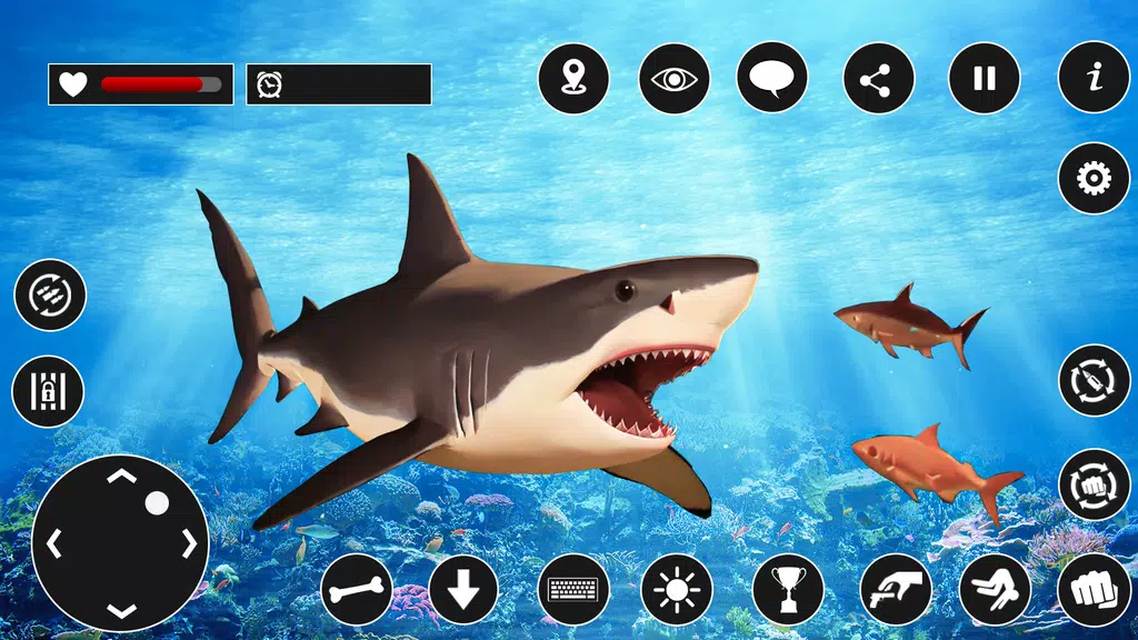 shark racing: sharks game Screenshot2