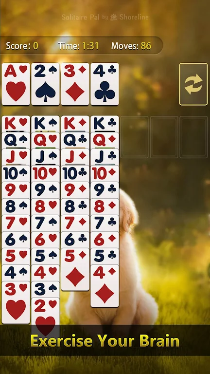 Solitaire Pal: Big Card Screenshot1