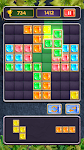 Block Jewel: Brick Puzzle Game Screenshot2