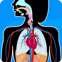 Human Anatomy - Body parts APK