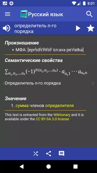 Russian Dictionary - Offline Screenshot4