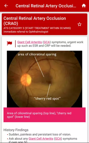 Eye Emergency Manual Screenshot3