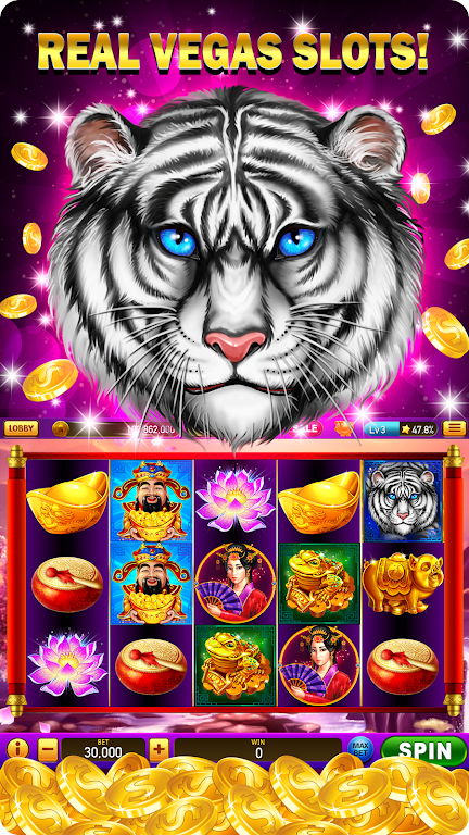 Slots - Lucky Slot Casino Wins Screenshot1