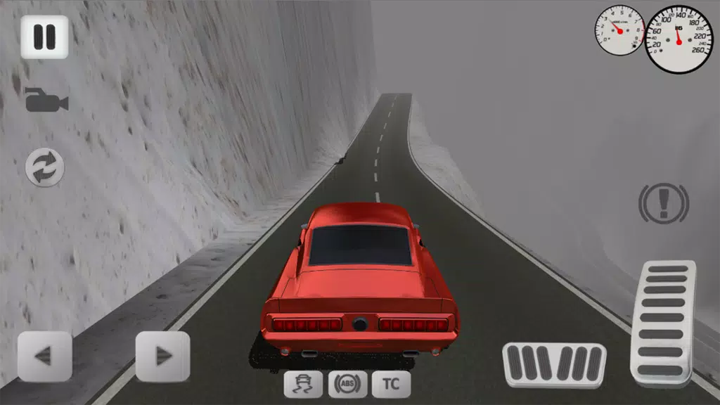 Offroad Car Simulator Screenshot2