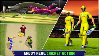 Cricket Championship Game 2024 Screenshot2