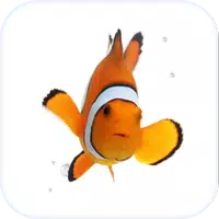 Fish Live Wallpaper Theme HD APK