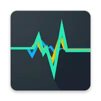 Vibration meter - Seismometer APK