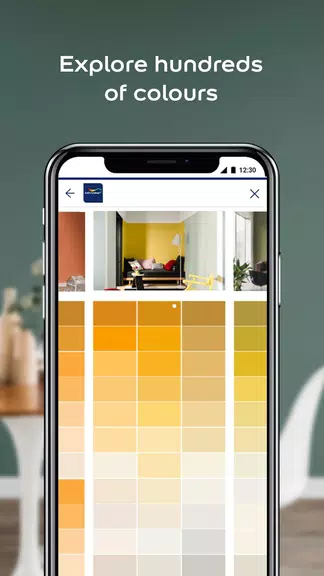 Dulux Visualizer ZA Screenshot2