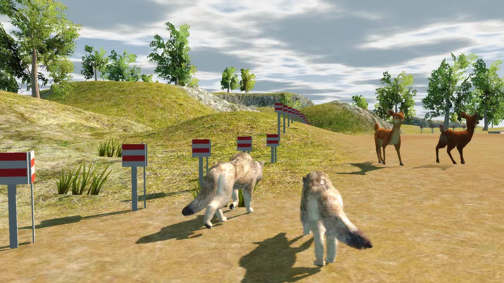 Wolf Dog Simulator Screenshot1