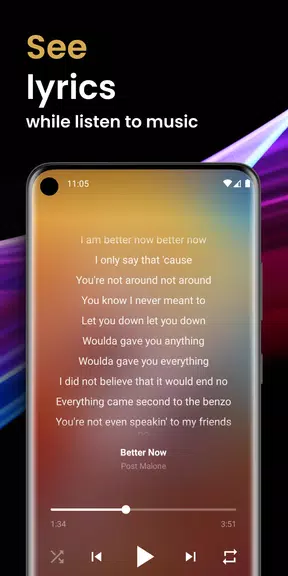 Offline Music Player Screenshot3