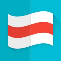 Flags APK