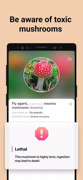 Picture Mushroom - Mushroom ID Screenshot3