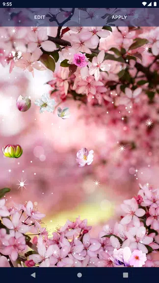 Cherry Blossom Live Wallpaper Screenshot4