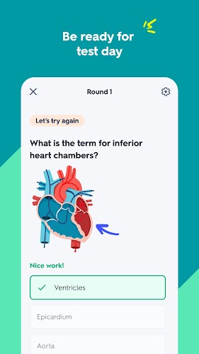 Quizlet: AI-powered Flashcards Screenshot3