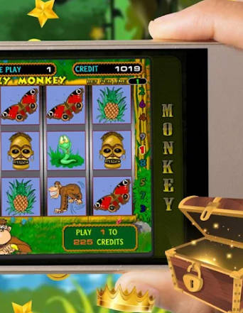 Monkey Garden Screenshot3