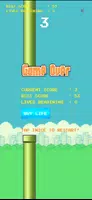 Birdy bird Game Original Screenshot4