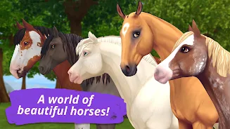 Star Stable Online Screenshot5