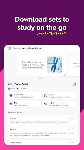 Quizlet: AI-powered Flashcards Screenshot20