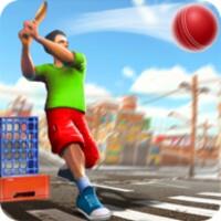 Street Criket-T20 Cricket Game APK