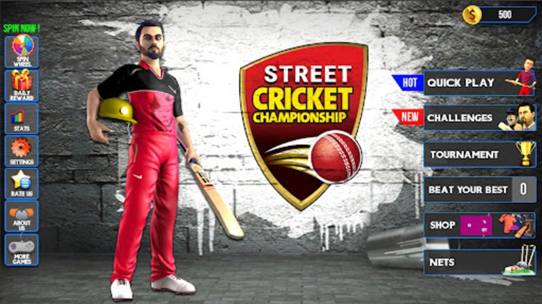 Street Criket-T20 Cricket Game Screenshot8