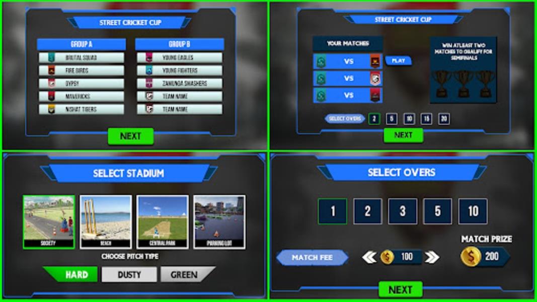 Street Criket-T20 Cricket Game Screenshot3