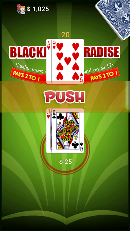 BlackJack Paradise Screenshot3