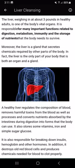 Top Liver Cleansing Superfoods Screenshot2