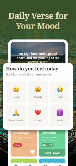 Daily Bible - KJV Holy Bible Screenshot3