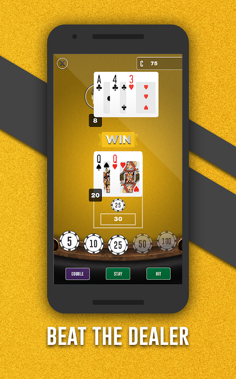 Fortune Joe Casino Screenshot4