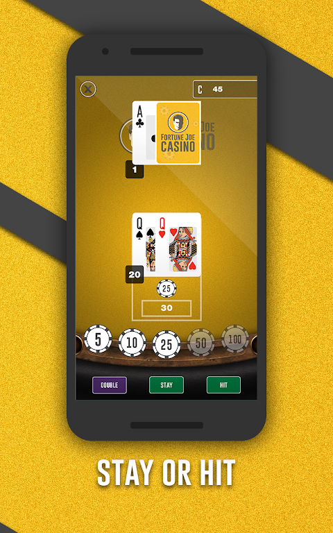 Fortune Joe Casino Screenshot3