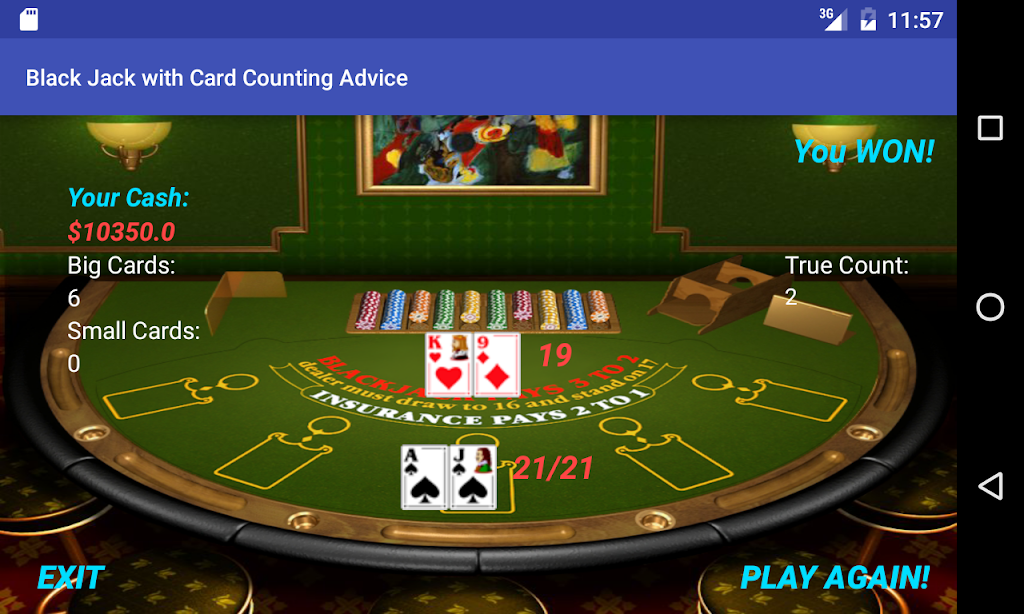 BlackJack Card Counting Advice Screenshot1