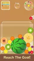 Watermelon Game Screenshot5