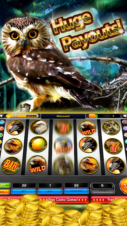 Wedge-tailed Eagle Slots Screenshot3