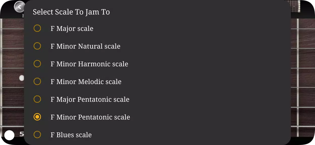 Guitar Scales & Chords Screenshot3