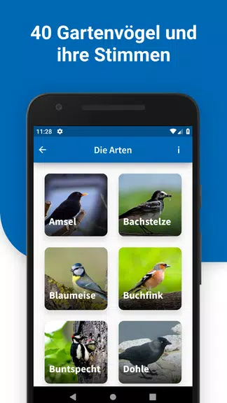 40 Gartenvögel & ihre Stimmen Screenshot1