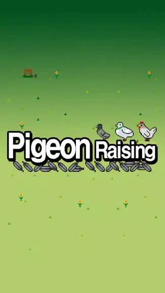 Pigeon Raising Screenshot1