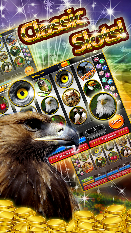 Wedge-tailed Eagle Slots Screenshot2