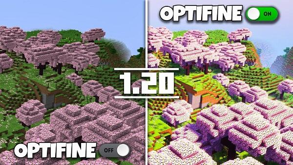 Optifine Screenshot2