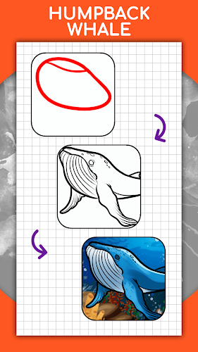 How to draw animals by steps Screenshot8