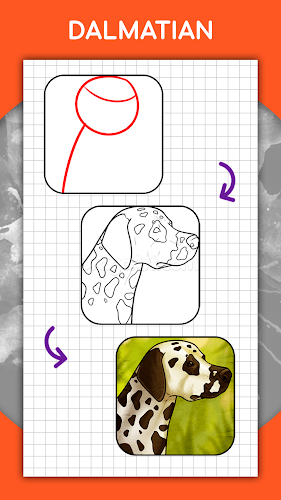 How to draw animals by steps Screenshot5