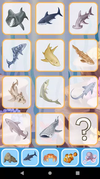 Sea Animal sounds for toddlers Screenshot3