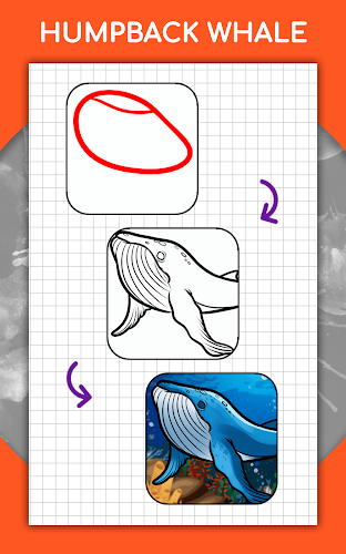 How to draw animals by steps Screenshot16