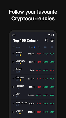 Hodler – Crypto Portfolio Screenshot1