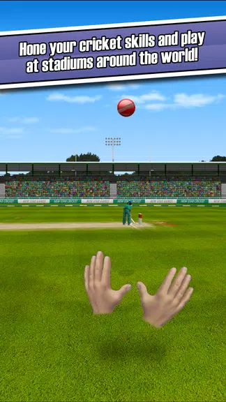 New Star: Cricket Screenshot3