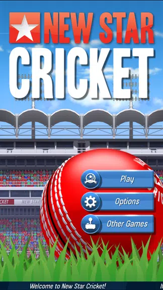 New Star: Cricket Screenshot1