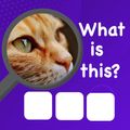 Zoom Quiz : Guess the picture APK