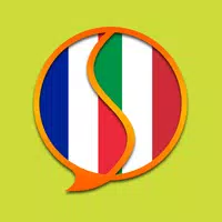 French Italian Dictionary APK