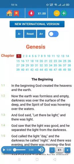 NIV Bible - Audio App Screenshot3